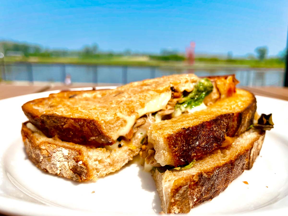mushroom swiss grilled cheese sandwich at luminarium's fig