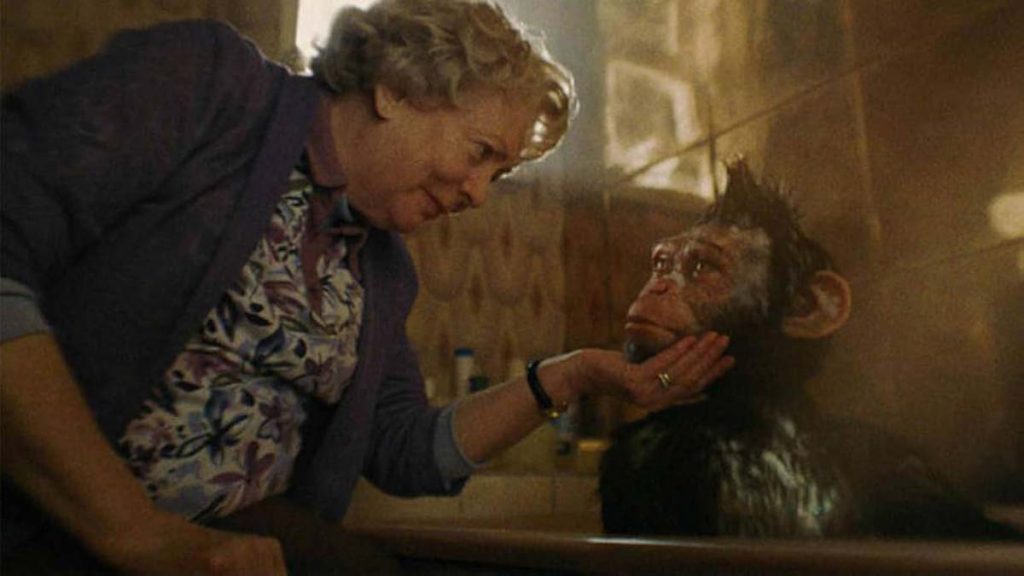 Allison Steadman and Carter J. Murphy as a chimpanzee version of young Robbie Williams